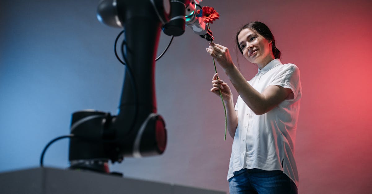 蓝田公司代理注册