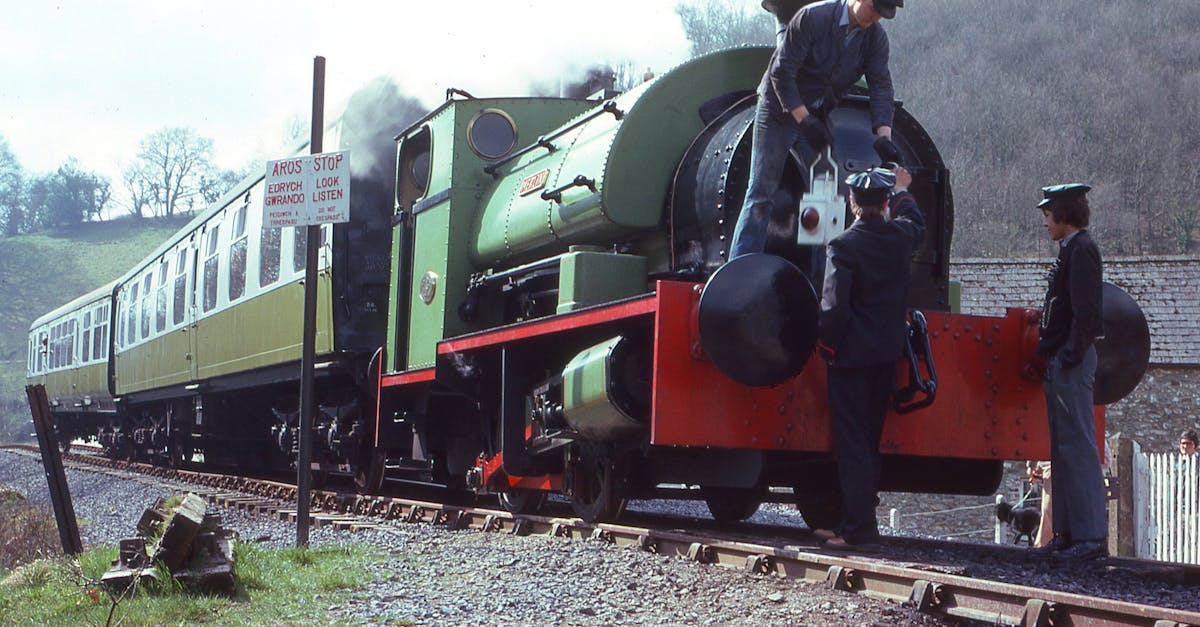 猫咪app播放器详情下载教程