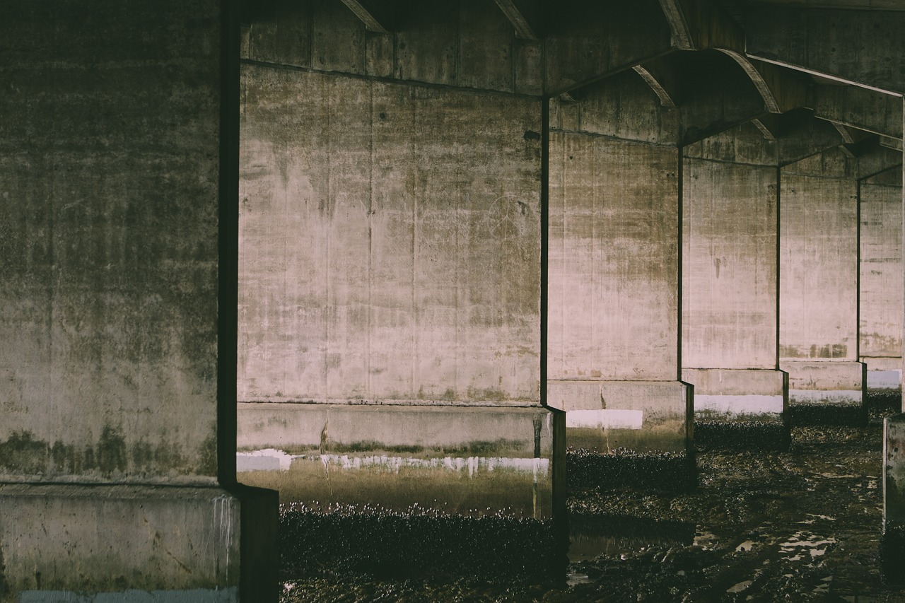 代理公司注册公司费用