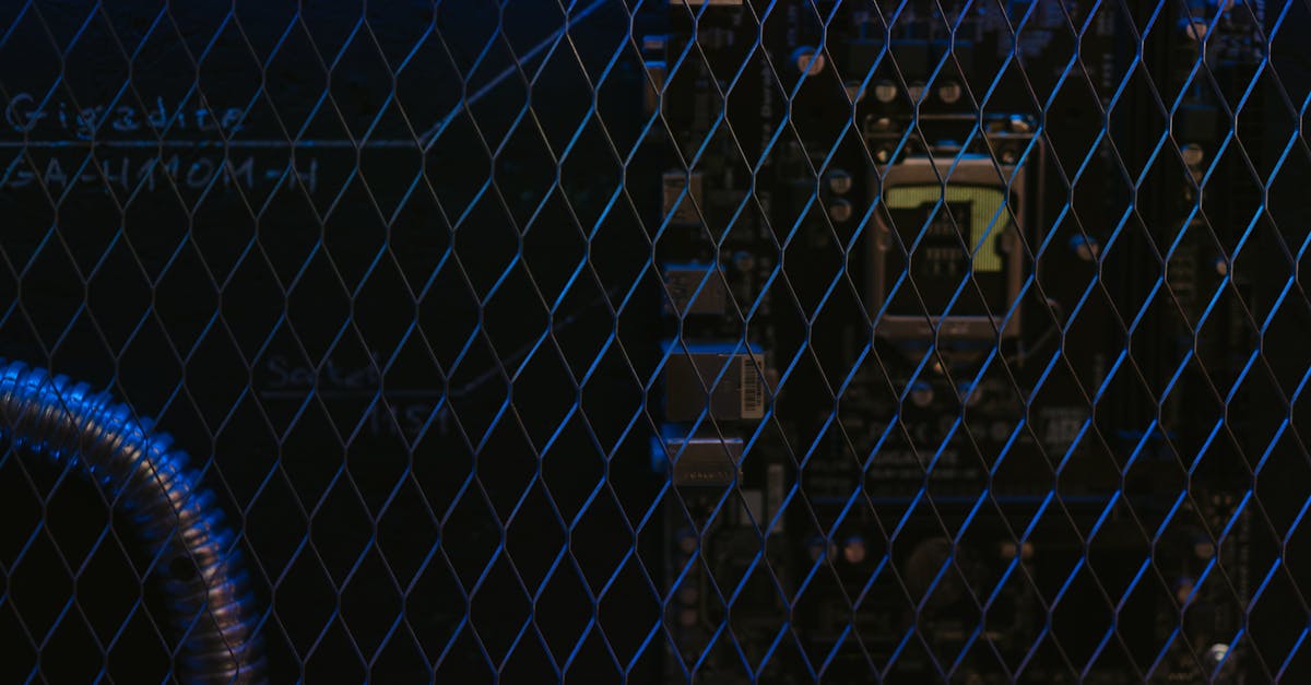 魔力宝贝永恒初心:如何注册好闲鱼账号手机版