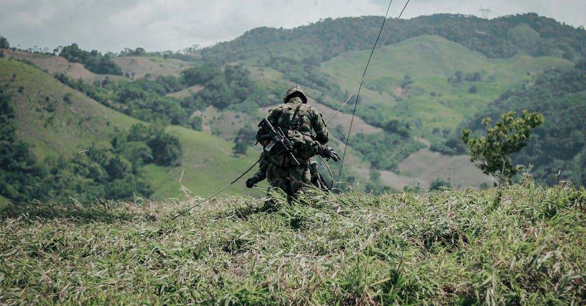 天狮bt详情下载教程工具app