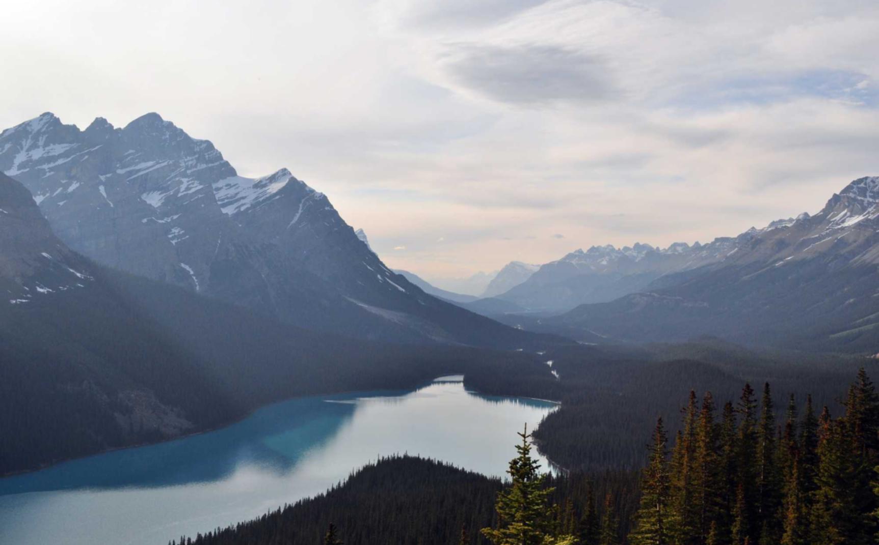 吸烟与健康之间的真相