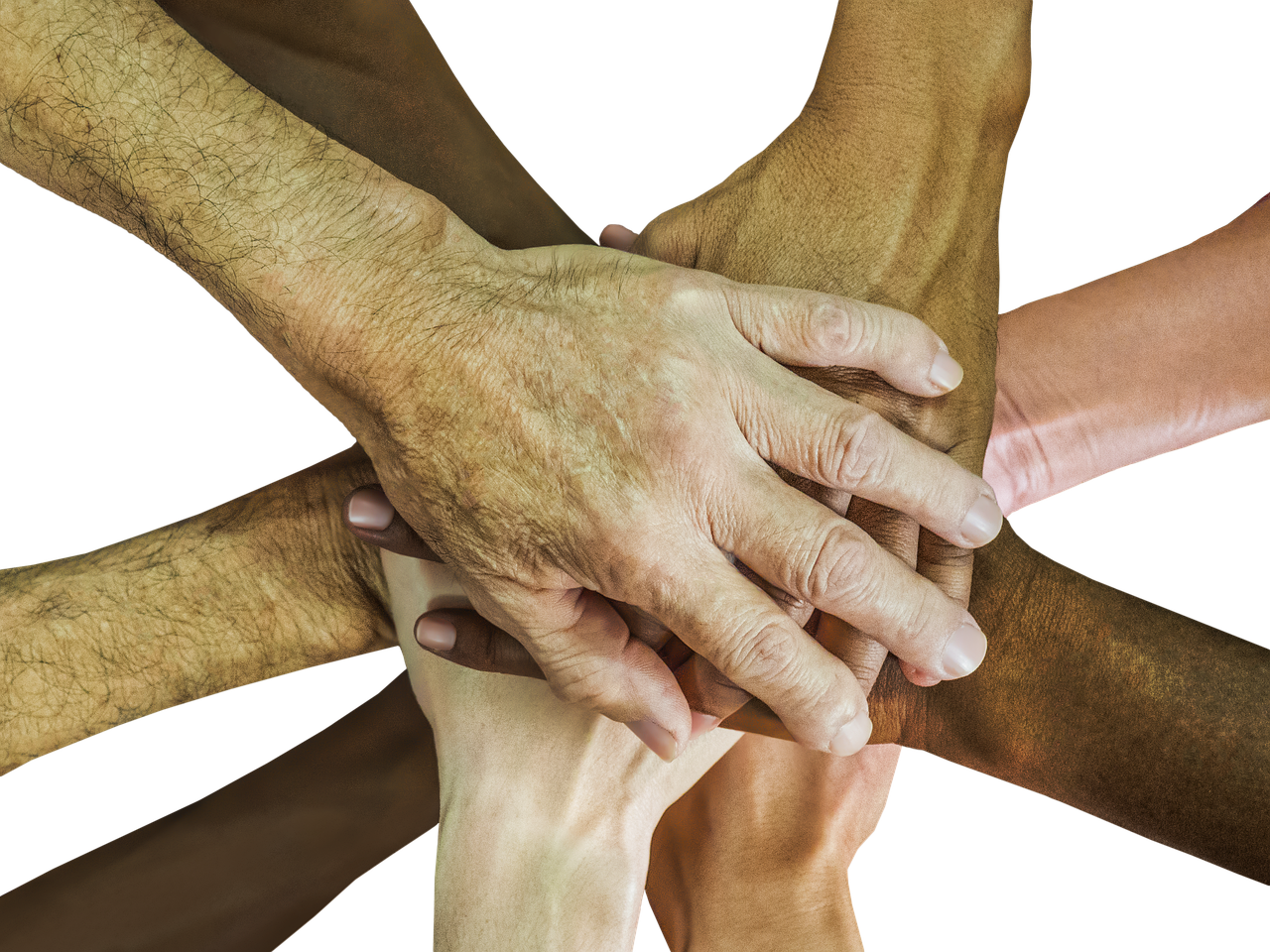 方盒中免红大卫杜夫国际版：详情下载教程小胡APP