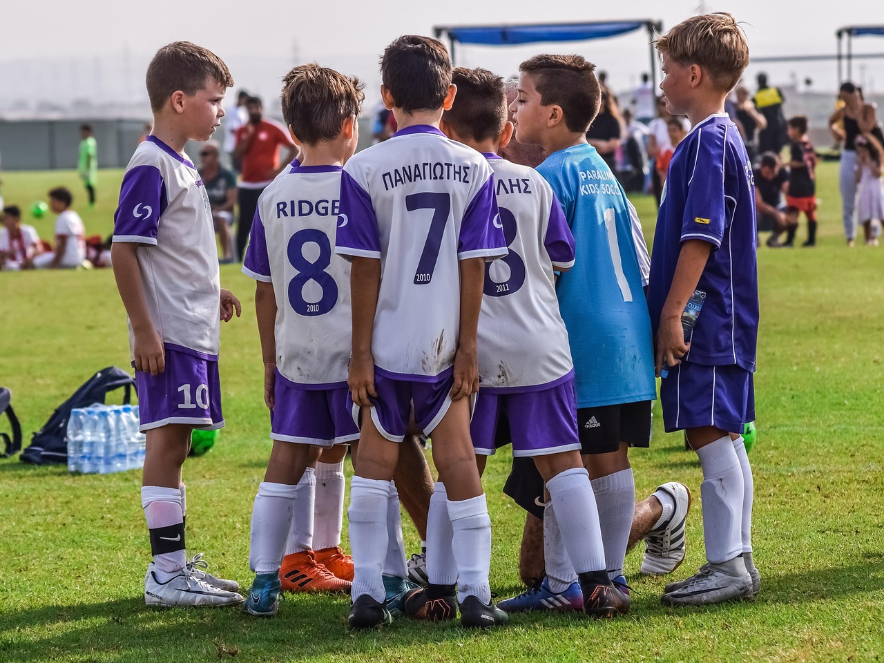 天狮如何利用视频广告来发掘新的客户机会？